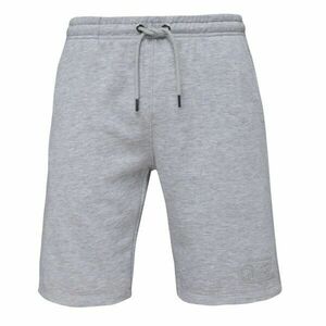 Russell Athletic SHORTS Șort pentru bărbați, gri, mărime imagine