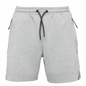 4F SHORTS CAS Pantaloni scurți pentru bărbați, gri, mărime imagine