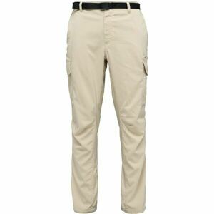 Columbia SKIEN VALLEY CARGO PANT Pantaloni pentru bărbați, bej, mărime imagine