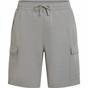 O'Neill ESSENTIALS Pantaloni scurți bărbați, gri, mărime imagine