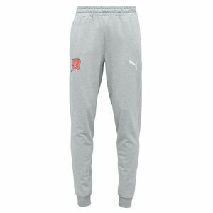 Puma TEAMGOAL 23 CASUALS PANTS Pantaloni antrenament bărbați, gri, mărime imagine