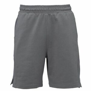 4F SHORTS CAS Pantaloni scurți bărbați, gri închis, mărime imagine