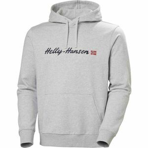 Helly Hansen CORE GRAPHIC HOODIE Hanorac cu glugă pentru bărbați, gri, mărime imagine