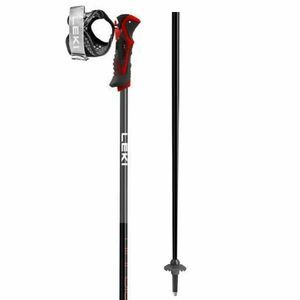 Leki AIRFOIL 3D Bețe de schi alpin Airfoil 3D, negru, mărime imagine