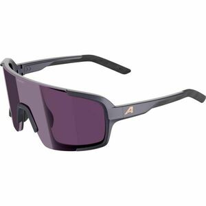 Alpina Sports LUMIN Ochelari de soare, gri închis, mărime imagine