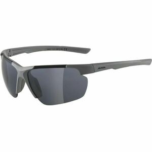 Alpina Sports DEFEY HR Ochelari de soare, gri închis, mărime imagine