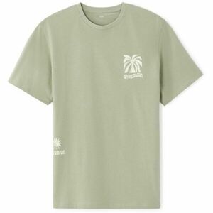 CELIO NENAIF Tricou pentru bărbați, verde, mărime imagine