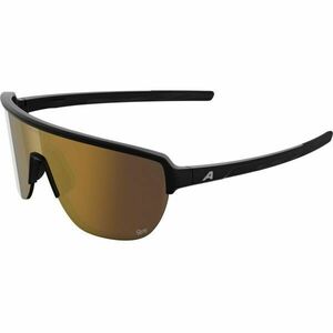 Alpina Sports RAM 2.0 Q-LITE Ochelari de soare, negru, mărime imagine