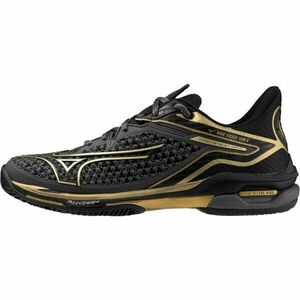 Mizuno WAVE EXCEED TOUR 6 10TH CC Încălțăminte tenis bărbați, negru, mărime 40.5 imagine