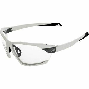 Alpina Sports TWIST SIX V Ochelari de soare, gri, mărime imagine