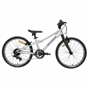 Arcore SPARROW 20 Bicicletă juniori 20", argintiu, mărime 20" (115 - 135 cm) imagine