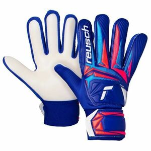 Reusch ATTRAKT STARTER SOLID JUNIOR Mănuși de portar pentru copii, albastru, mărime imagine