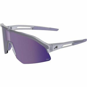 Alpina Sports SONIC HR M Q-LITE Ochelari de soare, gri, mărime imagine