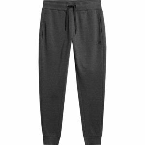 4F TROUSERS Pantaloni trening bărbați, gri închis, mărime imagine