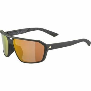 Alpina Sports SWIFT Ochelari de soare, negru, mărime imagine