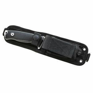 Pumnal Lionsteel pentru aventurieri cu lama clasică lucioasă M5 G10 imagine