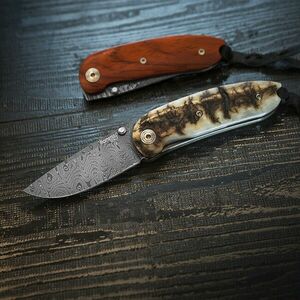 Lionsteel Cuțit de buzunar cu lamă din oțel damascinat 8210D ST imagine