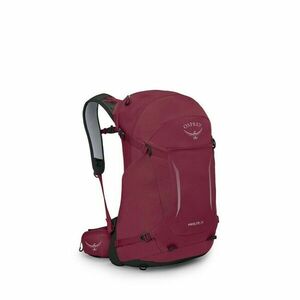 OSPREY HIKELITE 28 rucsac de trekking, chameleon/black, M/L imagine