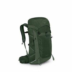 OSPREY TALON 33 rucsac de trekking, green canopy/pine leaf imagine