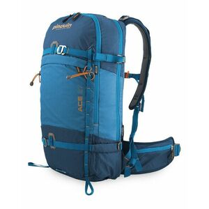 Pinguin Ace 27 Nylon, 27 L, Benzină imagine